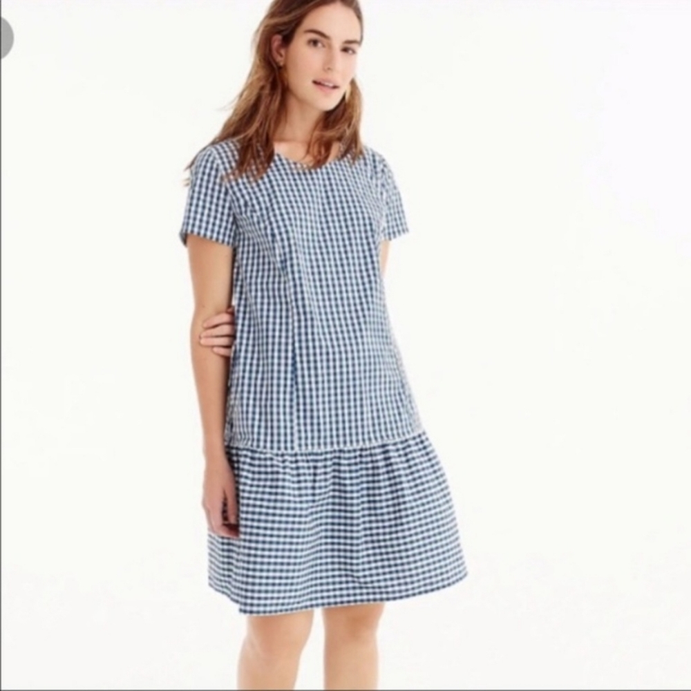 J Crew x Universal Standard Blue Gingham Dress